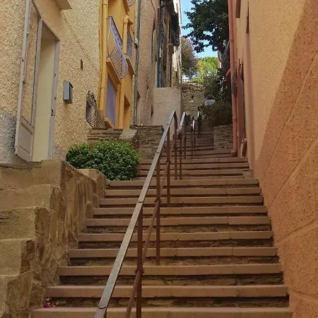 5rbut1 - Maison Familiale Sur Deux Niveaux En Plein Coeur Du Centre Collioure