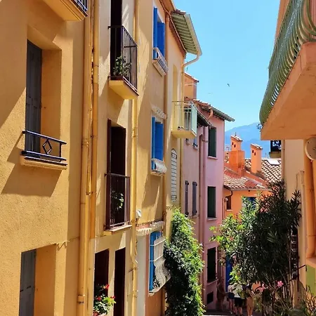 5rbut1 - Maison Familiale Sur Deux Niveaux En Plein Coeur Du Centre Collioure